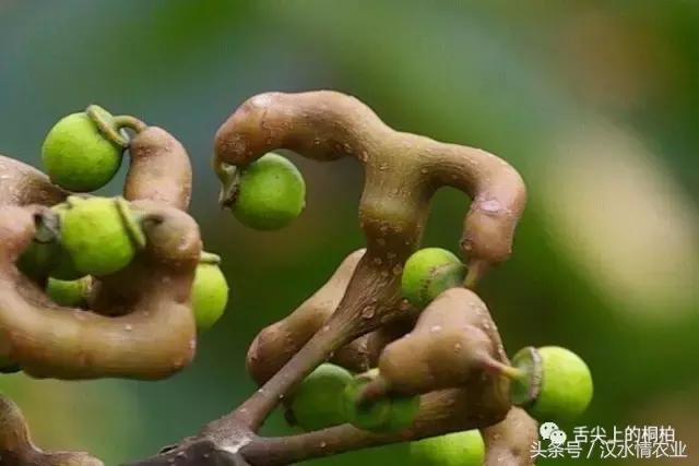 治关节炎的泡酒偏方_关节炎泡酒治偏方有效果吗_关节炎泡药酒配方