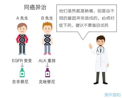 治疗肺癌偏方秘方_治肺癌最好偏方秘方_治疗肺癌最好的偏方